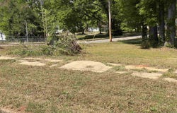 Milner St, Sheffield, AL 35660