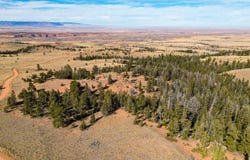 Wilderness Ranch Rd, Red Feather Lakes, CO 80545