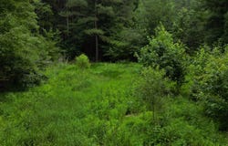 3097 Nc 87, Pittsboro, NC 27312
