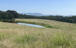 454 Cattail Road, Saint Joe, AR 72675