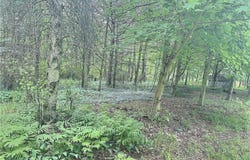 3776 State Highway 80, Sherburne, NY 13460