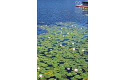 202 Deerfield Road, Lake Ariel, PA 18436