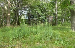 Henry Road, Cragsmoor, NY 12420