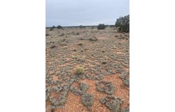 3270 Laurence Drive, Williams, AZ 86046