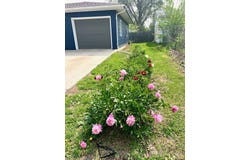 209 S 1st Street S, Panora, IA 50216