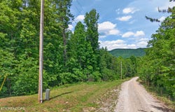 W Bobcat Lane, Wilder, TN 38589