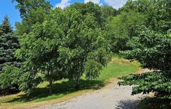 1716 D St., Hannibal, MO 63401