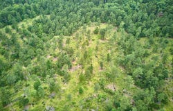TBD Tract 2 Cedar Creek Road, Hot Springs, AR 71901