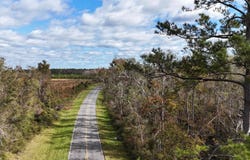 Vacant SW Moseley Hall Road, Greenville, FL 32331