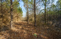 2 Blue Bunting Road, Smithville, OK 74957