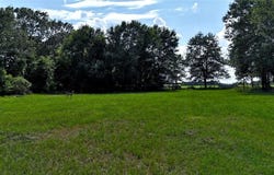 Tbd County Road 4817, Athens, TX 75752