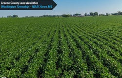Terrace Avenue, Rippey, IA 50235