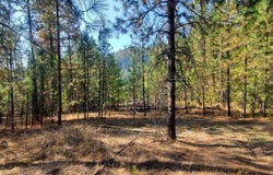 3733 XX SAND CREEK RD, KETTLE FALLS, WA 99141