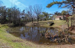2425 Antioch Road, Middleton, TN 38052
