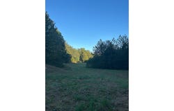 1450 Jones School Rd, Mount Sherman, KY 42764