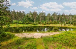 6612 Old Vanderbilt Road, Vanderbilt, MI 49795