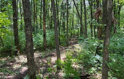 000 Cross Lake Rd, Chengwatana Twp, MN 55063