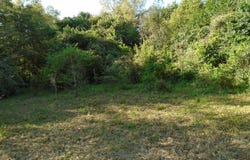 404 S Church Street, Manning, SC 29102