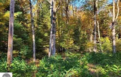 0 Scenic River Drive, Alger, MI 48610