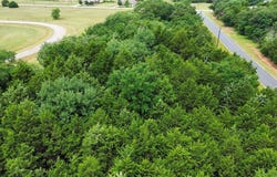 Lot 33 Palisades Add III TBD, Gordonville, TX 76245