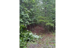 Deep Woods Drive lot: 202, Dunlap, TN 37327