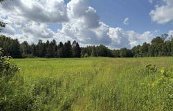 TBD Tree Top, Ironwood, MI 49938
