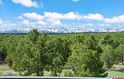 250 Sue Bob Court, Montrose, CO 81403