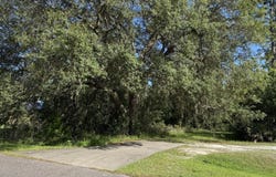 149 BLACKJACK Circle, Hollister, FL 32147