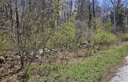0 Sandisfield Rd, Sandisfield, MA 01255