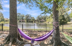 1733 James Basford Place, Mount Pleasant, SC 29466