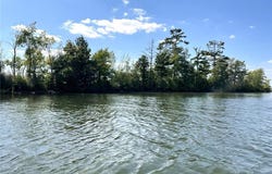 Pine Island, Isle, MN 56342
