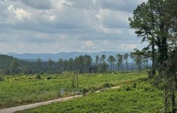 5.0 Acs Hwy 64, Copperhill, TN 37317