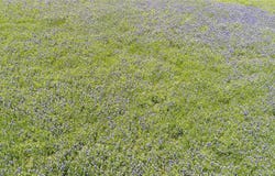 17358 Fm 1126, Corsicana, TX 75110