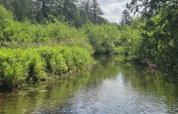 County Road lot: U, New Limerick, ME 04761