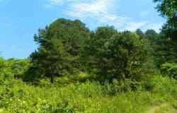 0 Laurel Creek Rd (DB 344, DP 515), Louisa, KY 41230