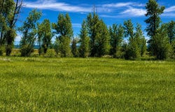 770 COBBLECREST Road, Driggs, ID 83422