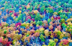 FOX Trail, WINCHESTER, VA 22602