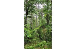 1281 CR 864, Cushing, TX 75760
