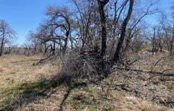 205 Timber, La Vernia, TX 78121
