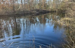 Rt. 206 & FORKED NECK RD, SHAMONG, NJ 08088