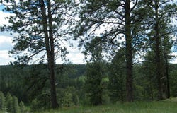 448 W Parrot Creek Road, Roundup, MT 59072