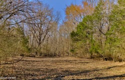 0 Sanders Store Road, Milan, TN 38358