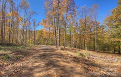 Pebble Ridge Road, Spruce Pine, NC 28777