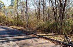 1105 EASTBROOK LANE lot: 19, BIRMINGHAM, AL 35215