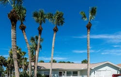 227 OCEAN PALM DRIVE, FLAGLER BEACH, FL 32136