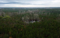 3448 Lower Centreville Road, Liberty, MS 39645
