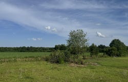 345 Emily Drive, Chadbourn, NC 28431