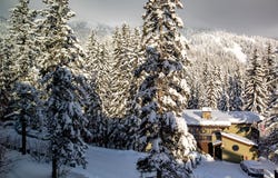 3820 Tamarack Avenue unit: 200, Whitefish, MT 59937