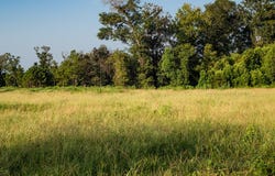 02 Clay, Attapulgus, GA 39819