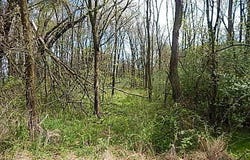 7200 Combs Road, Jerome, MI 49249